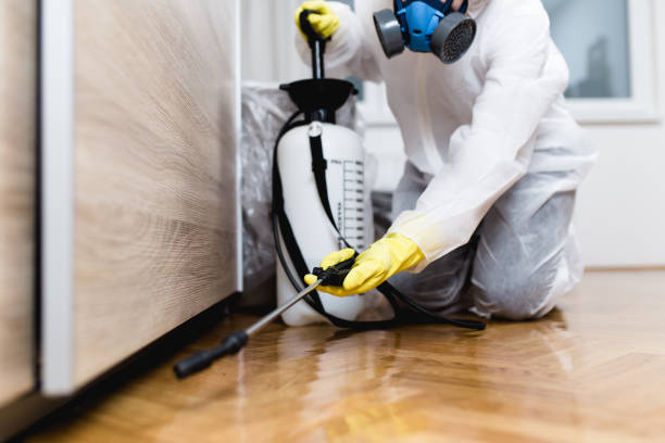 Best Best Pest Control Companies  in Pekin, IL