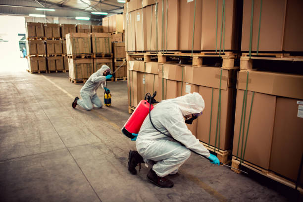 Wildlife Control Services in Pekin, IL