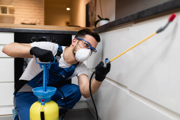 Best Local Pest Control Services  in Pekin, IL