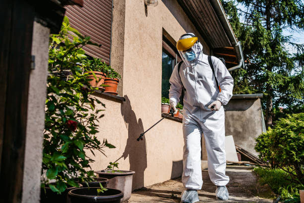 Best Pest Prevention Services  in Pekin, IL