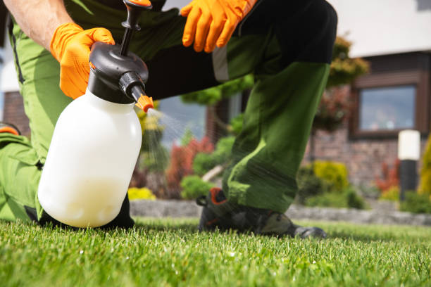 Best Bed Bug Extermination  in Pekin, IL