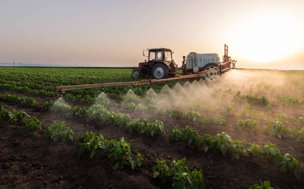 Best Mosquito Control Services  in Pekin, IL