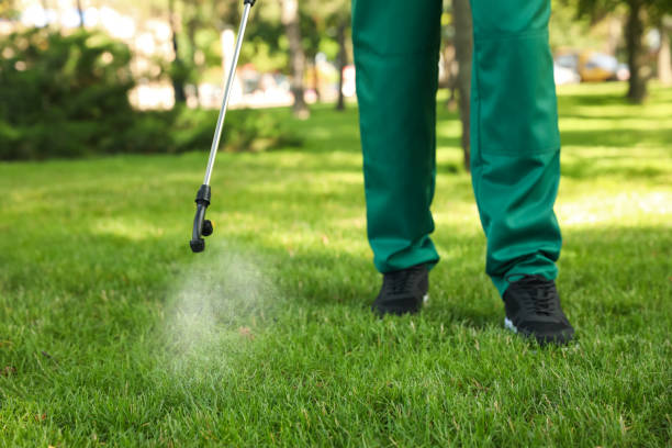 Best Flea Control Services  in Pekin, IL