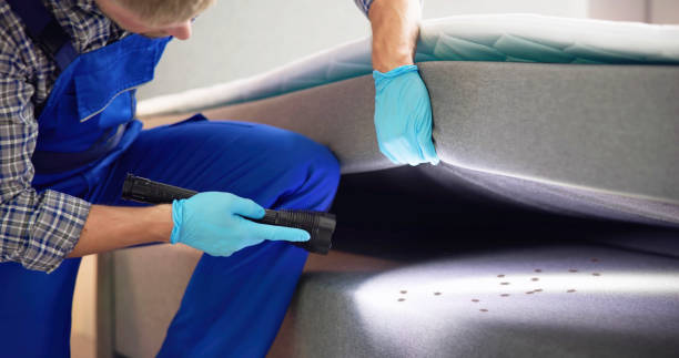 Flea Control Services in Pekin, IL