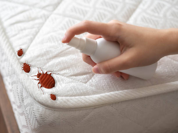 Trusted Pekin, IL Pest Control Experts