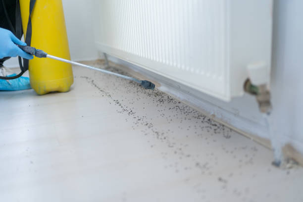 Pest Control for Restaurants in Pekin, IL