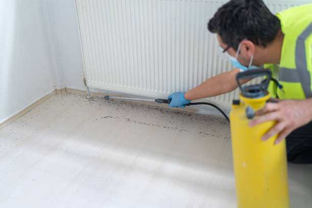 Best Pest Control for Restaurants  in Pekin, IL