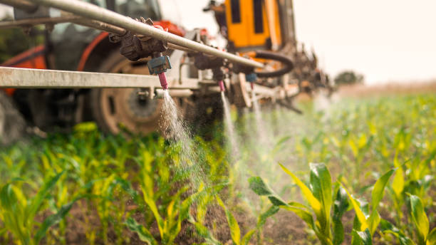Best Wildlife Control Services  in Pekin, IL